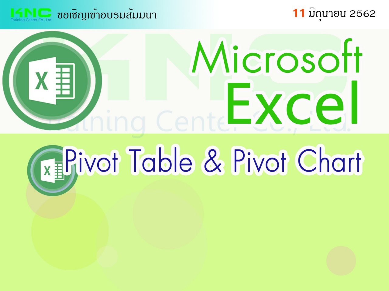 Microsoft Excel Pivot Table & Pivot Chart