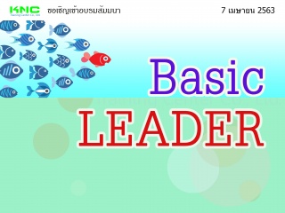 Basic  Leader