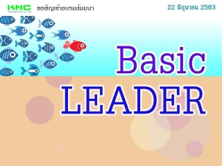 Basic Leader