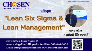 Lean Six Sigma and Lean Management