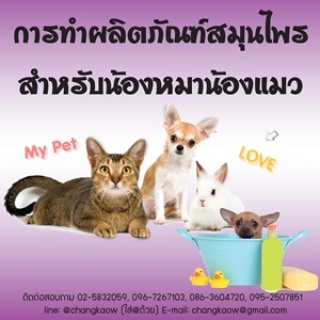 เรียนทำผลิตภัณฑ์จากสมุนไพรไทยสำหรับน้องหมาน้องแมว ...