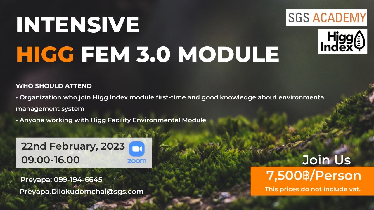 Online Zoom - Intensive Higg FEM 3.0 module