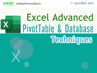 Excel Advanced for PivotTable and Database Techniq...