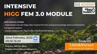 Online Zoom - Intensive Higg FEM 3.0 module